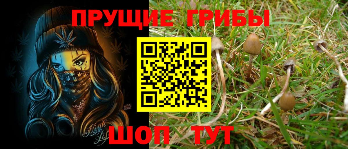 Галлюциногенные грибы GOLDEN TEACHER Арсеньев
