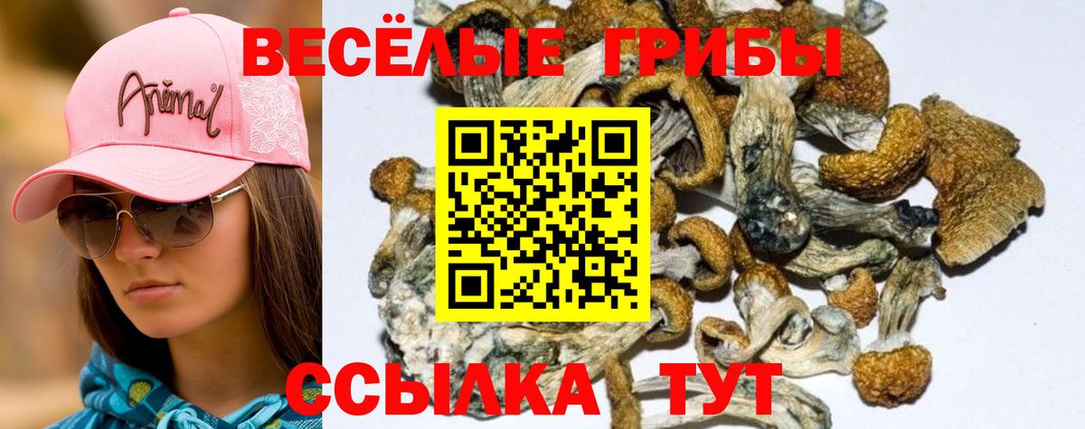 Псилоцибиновые грибы ЛСД  Вход с VPN  Арсеньев  Псилоцибиновые грибы мицелий 